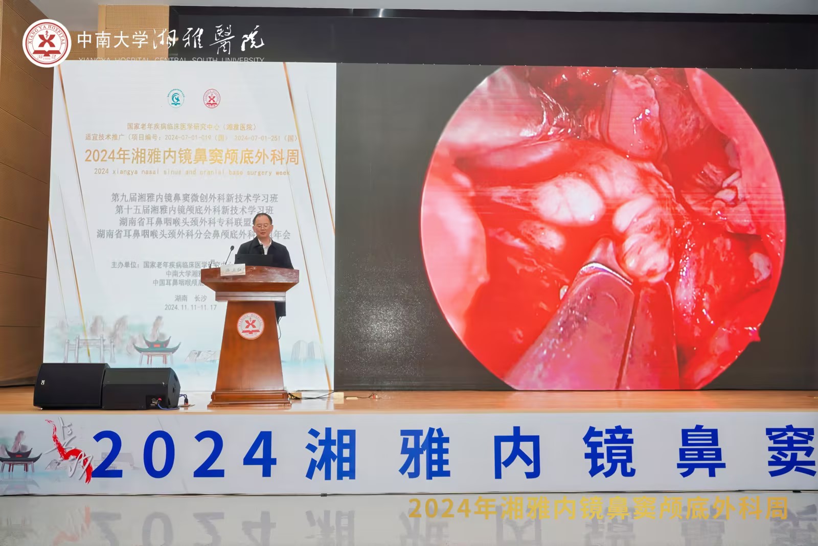 ��ʽ˫������������Ӧ������2024�����ھ����­�������